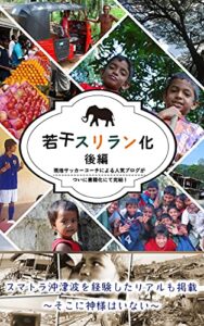 若干スリラン化: ～後編～