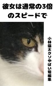 【無料で読める】彼女は通常の３倍のスピードで: 小林猫太クソやばい短編集
