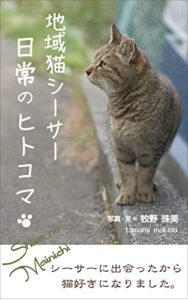 【無料で読める】地域猫シーサー、日常のヒトコマ: シーサーに出会ったから猫好きになりました。