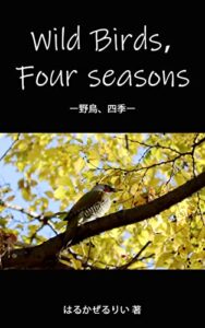 【無料で読める】Wild Birds, Four seasons: ー野鳥、四季ー