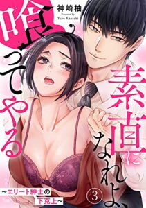 素直になれよ、喰ってやる～エリート紳士の下克上～ 3 (恋愛宣言)