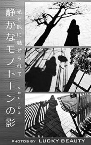 【無料で読める】静かなモノトーンの影: 光と影に魅せられて Vol. 03
