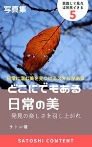 どこにでもある日常の美 5: 発見の楽しさを召し上がれ どこでもある日常の美 (サトシコンテンツ)