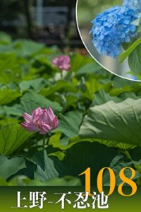 【無料で読める】上野・不忍池の風景: 108枚の写真