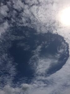 【無料で読める】飛べるけどトンでもない