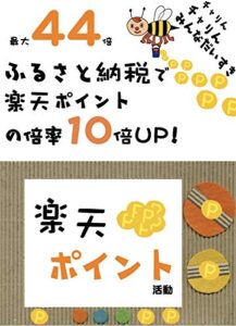 【無料で読める】最大44倍！ふるさと納税で楽天ポイントの倍率10倍UP 最大44倍楽天ポイント (就職氷河期世代のサバイブックス)