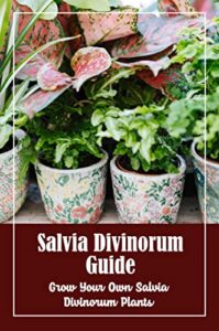 Salvia Divinorum Guide: Grow Your Own Salvia Divinorum Plants (English Edition)