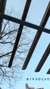 【無料で読める】ファンライド１８