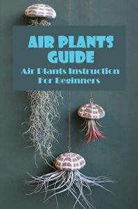 Air Plants Guide: Air Plants Instruction For Beginners (English Edition)