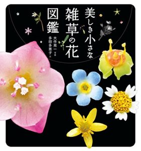 【無料で読める】美しき小さな雑草の花図鑑