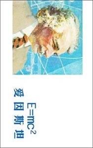 愛因斯坦 (Traditional Chinese Edition)