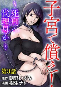子宮で償え！ ～死刑か代理母か～（分冊版） 【第3話】 (ストーリーな女たち)