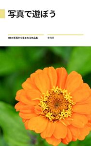 【無料で読める】写真で遊ぼう