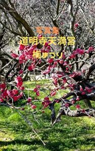 【無料で読める】写真集 道明寺天満宮 梅まつり