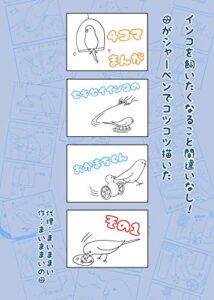 【無料で読める】セキセイインコのおかまちくんその1: インコのほのぼの4コマ漫画