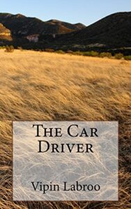 The Car Driver (English Edition)