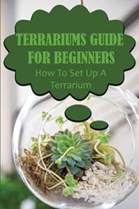 Terrariums Guide For Beginners: How To Set Up A Terrarium (English Edition)