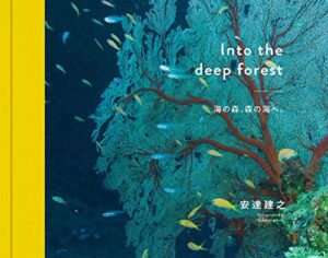 Into the deep forest 海の森、森の海へ。