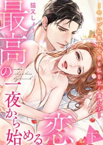 【無料で読める】最高の一夜から始める恋～セレブ社長は今夜も私を甘く濡らす～【電子限定描き下ろし漫画付き】 （2） (乙女チック)