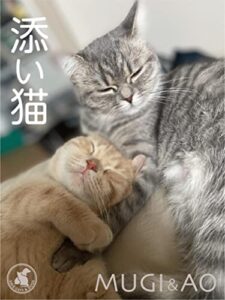 【無料で読める】添い猫 (DCウエストフォトブック社)