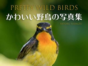 【無料で読める】Pretty Wild Birds / かわいい野鳥の写真集