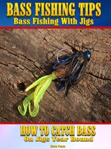 Bass Fishing Tips, Bass fishing with jigs: How to catch bass on jigs year round (English Edition)