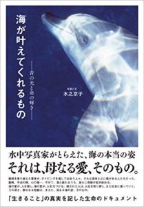 【無料で読める】海が叶えてくれるもの 青の光と命の輝き