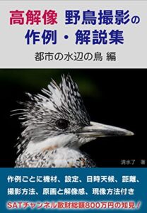 【無料で読める】高解像 野鳥撮影の作例・解説集「都市の水辺の鳥 編」