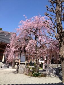 【無料で読める】ハイパーインフレから身を守れ外貨編: ハイパーインフレから身を守れ外貨編