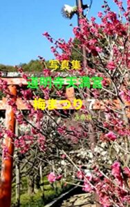 【無料で読める】写真集 道明寺天満宮 梅まつり ７