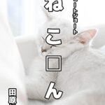 【無料で読める】ねこ□んshironeko