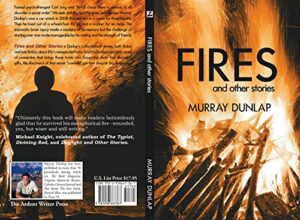Fires and Other Stories: Stories of unexpected turns in life, including one man’s fight to start entirely over (English Edition)
