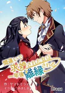 【無料で読める】間違いで求婚された女は一年後離縁される【合本版】 (アマゾナイトノベルズ)