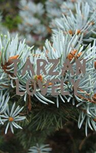 Tarzan Lovely (Galician Edition)