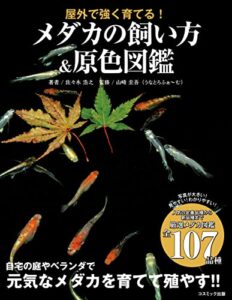 【無料で読める】屋外で強く育てる！ メダカの飼い方＆原色図鑑