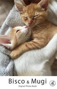 【無料で読める】Bisco&Mugi Digital Photo Book (DCウエストフォトブック社)