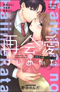 再会愛のはじめかた 2度目の夜にシたいこと (無敵恋愛S*girl)