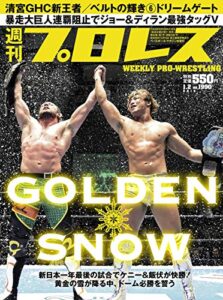 週刊プロレス 2019年 01/02号 No.1990 [雑誌]