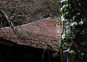 【無料で読める】444.Tokyo of the Day and Night: 昼と夜と東京都。