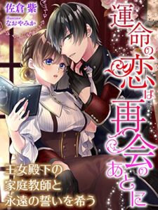 運命の恋は再会のあとに～王女殿下の家庭教師と永遠の誓いを希う～ (夢中文庫プランセ)