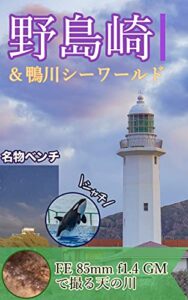 【無料で読める】野島崎灯台＆鴨川シーワールド【写真107枚】: 灯台とベンチとお魚と