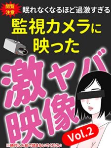 【閲覧注意】眠れなくなるほど過激すぎる監視カメラに映った激ヤバ映像Vol.2: ※絶対に人前で見ないでください