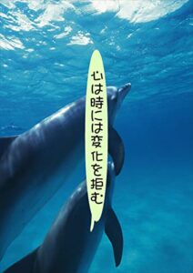 満足度が消える