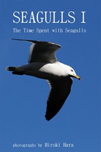 SEAGULLSⅠ: The Time Spent with Seagulls
