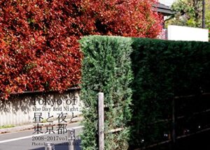 【無料で読める】443.Tokyo of the Day and Night: 昼と夜と東京都。