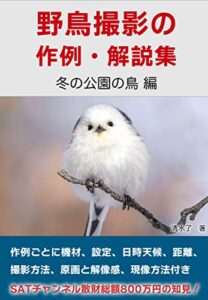 【無料で読める】野鳥撮影の作例・解説集『冬の公園の鳥編』