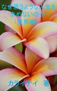 【無料で読める】なぜ思うような人生を歩めないのか（霊界） なぜ思うような人生を歩めないのか（幽界）