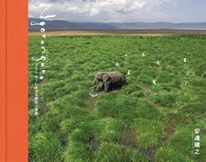 【無料で読める】Ngorongoroクレーターに生きる野生の家族