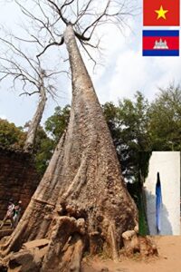 【無料で読める】ベトナム＆カンボジア旅行写真集（アンコールワット）