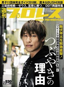 【無料で読める】週刊プロレス 2018年 10/31号 No.1981 [雑誌]